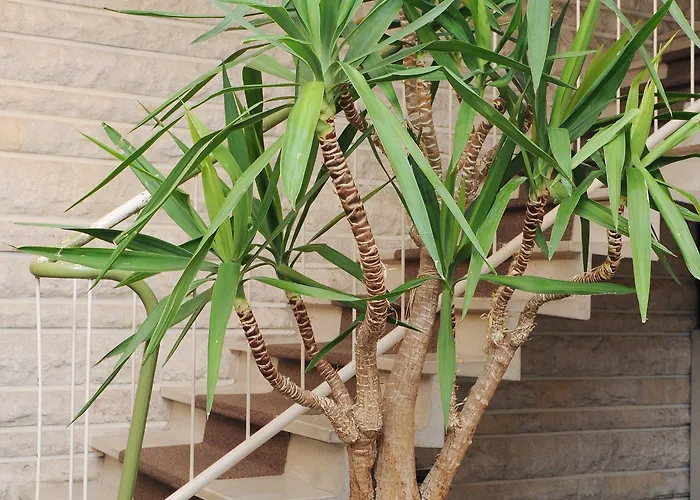 Hotel Beau Rivage Hotell 2*