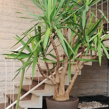 Hotel Beau Rivage Hotel 2*